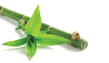 poudre de bambou