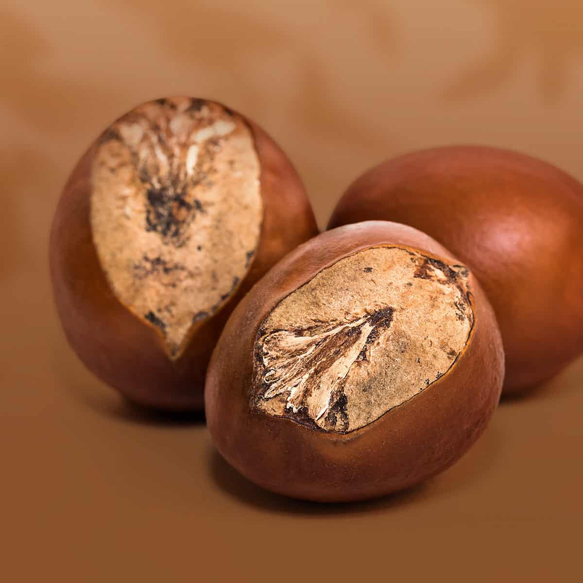 repigmentant-ingredient-beurre-karite