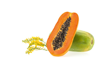 Extrait de melilot papaye