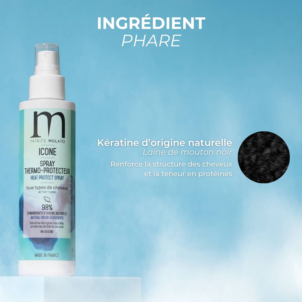 Spray Thermo-protecteur