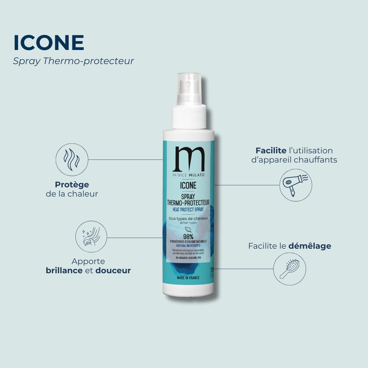 Spray Thermo-protecteur