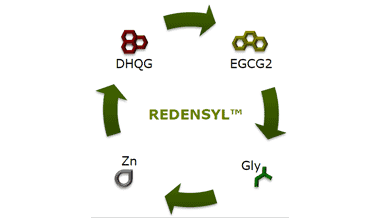 redensyl