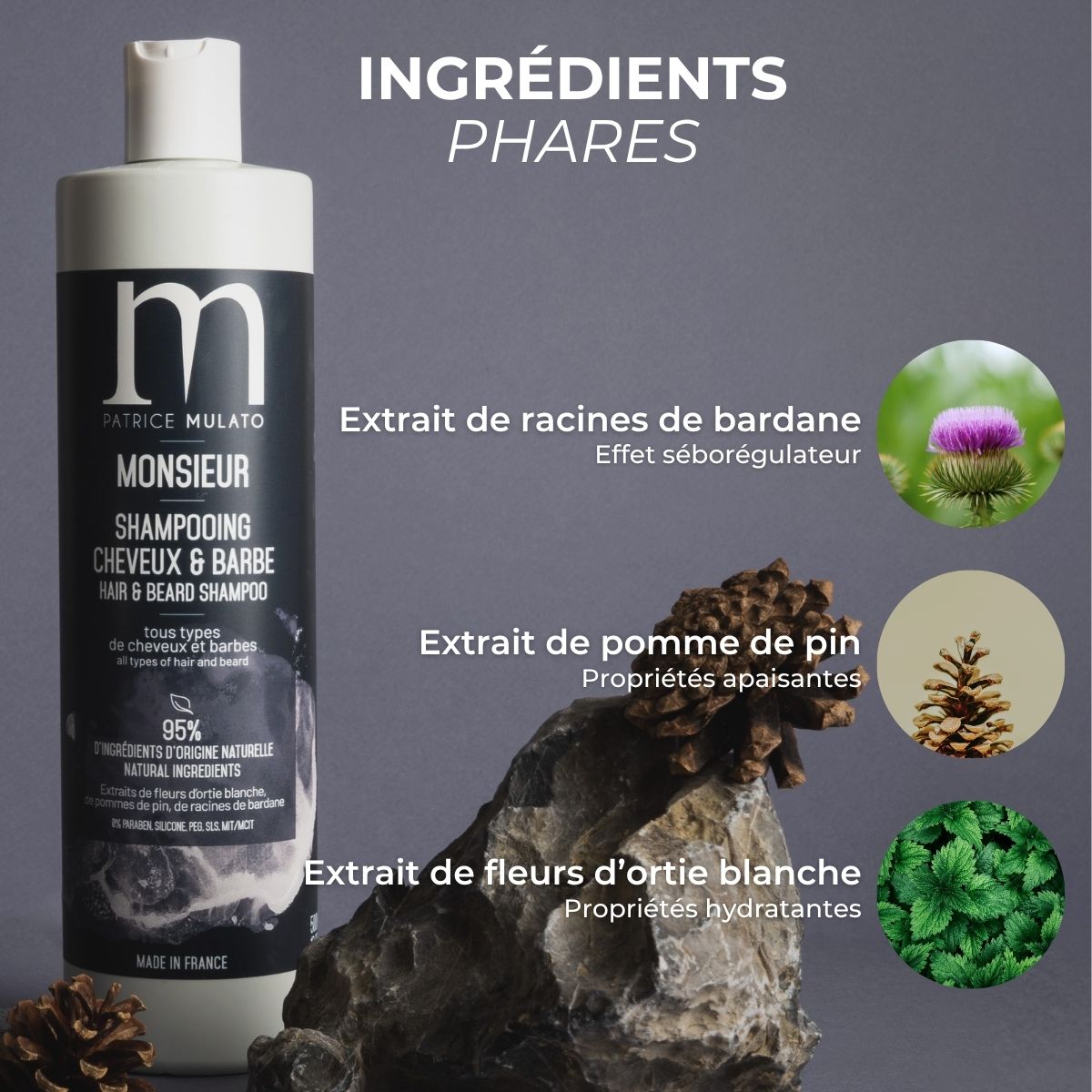 Shampooing Cheveux & barbe - ingrédients