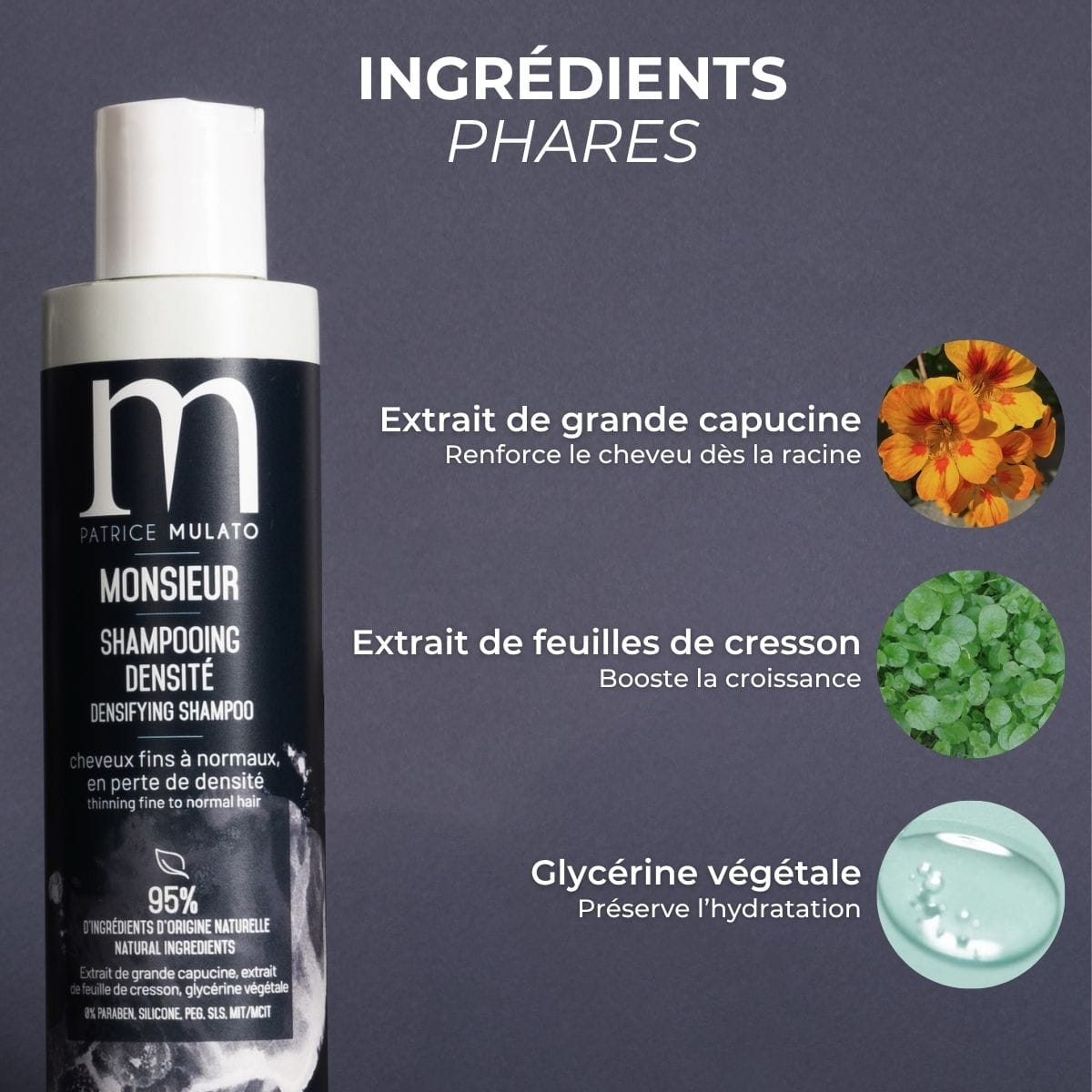 Shampooing Densité - ingrédients